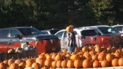 Foster Family Farm in South Windsor has it all this Fall!