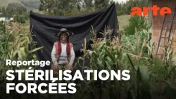 Pérou : stérilisations sans consentement | ARTE Reportage