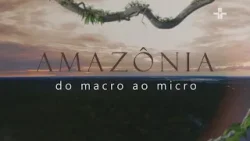 AMAZÔNIA DO MACRO AO MICRO | ARACNÍDEOS DA AMAZÔNIA