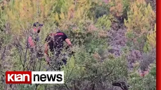Zjarri del jashtë kontrollit në Mallakastër, digjen masive me pisha