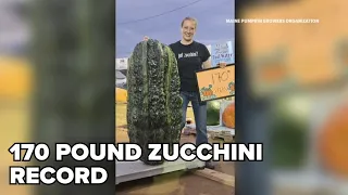 Damariscotta woman breaks North American zucchini record