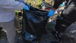 City cleanup effort encourages community service