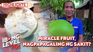 Miracle fruit, nagkapagpapagaling nga ba ng sakit? | Ibang Level To