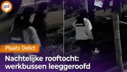 Nachtelijke inbraken in werkbussen in Harderwijk I Plaats Delict