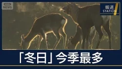 『気嵐』に『蜃気楼』も　全国130地点で冬日“12月並み寒気”各地で冬景色【報道ステーション】(2026年10月29日)