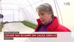 LEGUME MAI SCUMPE DIN CAUZA GERULUI
