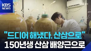 World's First Successful Industrial Mass Production of 150-Year-Old Wild Ginseng Cultured Roots /...