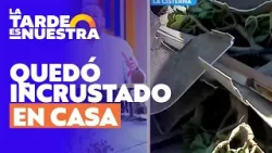 Chocó casa, huyó y trepó árbol para esconderse l La Tarde es Nuestra Chocó casa, huyó y trepó árbol para esconderse l La Tarde es Nuestra