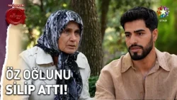 A Mother-in-Law Protecting Her Daughter-in-Law Takes Exemplary Revenge on Her Son! | If I Had a C...