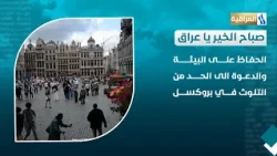 Preserving the Environment and Calling for Pollution Reduction in Brussels