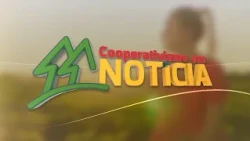 Cooperative News – Ed. 10/18/2026