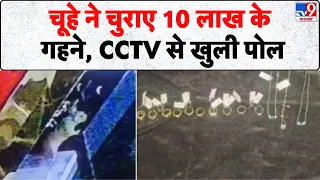 Breaking News: चूहे ने चुराए 10 लाख के गहने, CCTV से खुली पोल | Rat Stealing Gold In Tumakuru