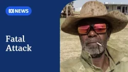 Ex-stockman jailed for fatal attack on partner in Katherine | ABC NEWS