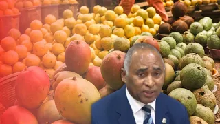 Senator proposes action plan to save mango production affected by U.S. restrictions