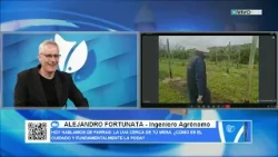 ALEJANDRO FORTUNATA Agronomist