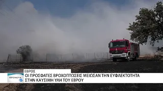 Οι βροχές μείωσαν την ευφλεκτότητα της καύσιμης ύλης στον Έβρο