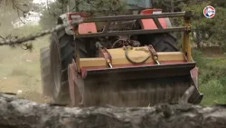 Сотрудники севастопольского лесхоза защищают леса от пожаров