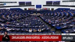 ევროპარლამენტის მორიგი რეზოლუცია - პრემიერის კომენტარი