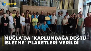 TURTLE-FRIENDLY BUSINESS AWARDS PRESENTED