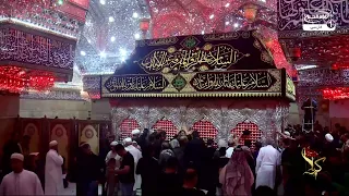 لحظات ناب کنار ضریح امام حسین در ایام شهادت امام حسن مجتبی علیه السلام