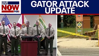 Florida wildlife officials provide update on deadly alligator attack