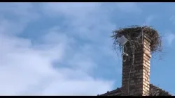 RELOCAREA BERZEI DE LA SECȚIE