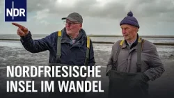 Zurück bei den Wattmännern von Pellworm | Die Nordreportage | NDR Doku