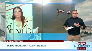 Γρίπη των πτηνών- Δεύτερη χήνα εντοπίστηκε νεκρή στο Πάρκο Αθαλάσσας