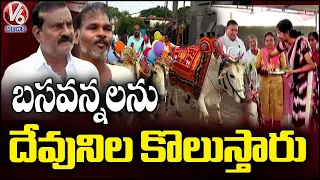 Adilabad Celebrates Polala Festival with Colourfully Decorated Bullocks   |V6 News