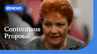Pauline Hanson proposes blanket ban on migration from particular countries | ABC NEWS
