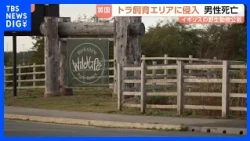 Man killed by tiger at UK wildlife park: Reports of man entering tiger enclosure, reason unknown ...