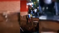Guatemalan mayor descends into a sinkhole to save a dog