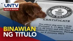 Titulong world’s oldest dog sa asong si Bobi, tuluyan nang binawi ng Guinness World Records