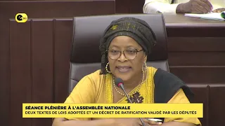 Plenary session at the National Assembly: two bills passed and one ratification decree