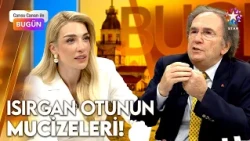 "If There Were Only One Plant Left in the World, I Would Choose That!" Saraçoğlu's Favorite: Stin...