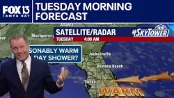 Погода в Тампе | Прогноз на утро вторника