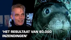 Honderd foto’s van dieren in foto-expositie Wildlife Photographer of the Year in Forum Groningen