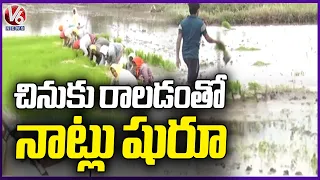 Farmers Planting Paddy Saplings After Rains In Medak | V6 News
