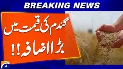 Proposal to increase the price of wheat by Rs. 1,000 | Breaking News