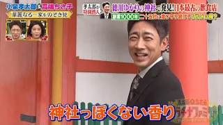 小泉孝太郎が特別潜入‼ 徳川ゆかりの神社で発見した「創業1000年」の日本最古の飲食店とは!?｜#プラチナファミリー #TVer で最新話配信中！