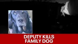 Kaufman County sheriff's deputy shoots family dog while responding to 911 call
