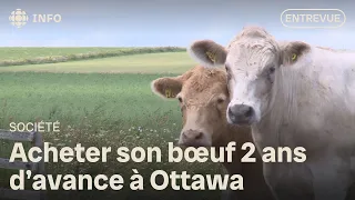 Buying beef 2 years in advance: an Ottawa farm innovates to fight inflation