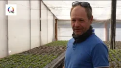 Qualiplant De la Rădăcini la Succes 30 03 2026 Qualiplant De la Rădăcini la Succes 30 03 2026