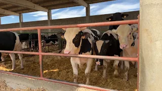 40 milions més per l'Agroliquiditat