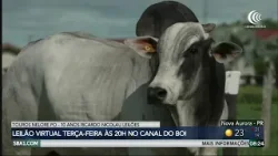 Semana especial em comemoração aos 10 anos da Ricardo Nicolau Leilões Semana especial em comemoração aos 10 anos da Ricardo Nicolau Leilões