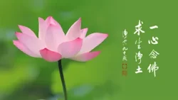 淨空老法師｜大經專修｜一定要把阿彌陀佛念成習慣-第2171集