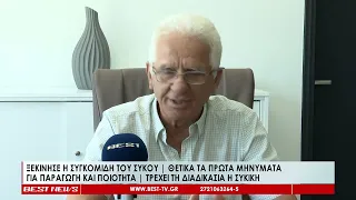 Ξεκίνησε η συγκομιδή του σύκου, θετικά τα πρώτα μηνύματα για παραγωγή και ποιότητα