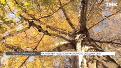 Snow forecast for Krasnoyarsk this week