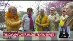 Timișoara înflorită: calendarul înfloririlor și trasee tematice spectaculoase #StiriRegionale @TVRTM