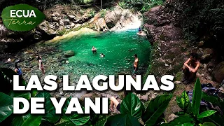 Ecuaterra🌱 Yani Lagoons provide food for 200 residents of Tálag, Napo | Ecuavisa